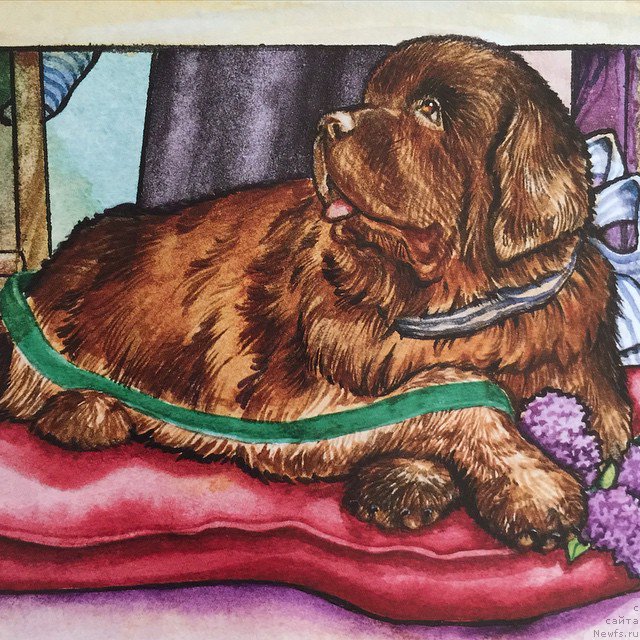 Фотография № 212801