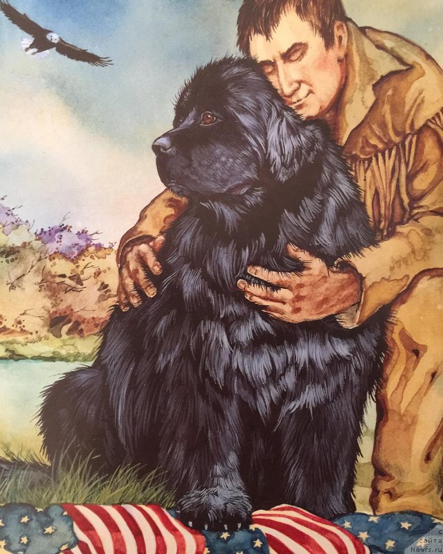 Фотография № 212804