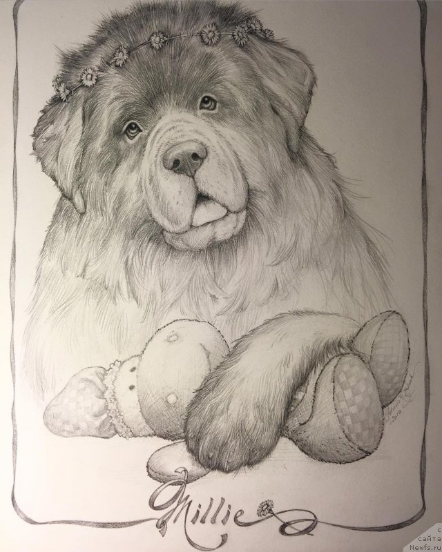 Фотография № 212807