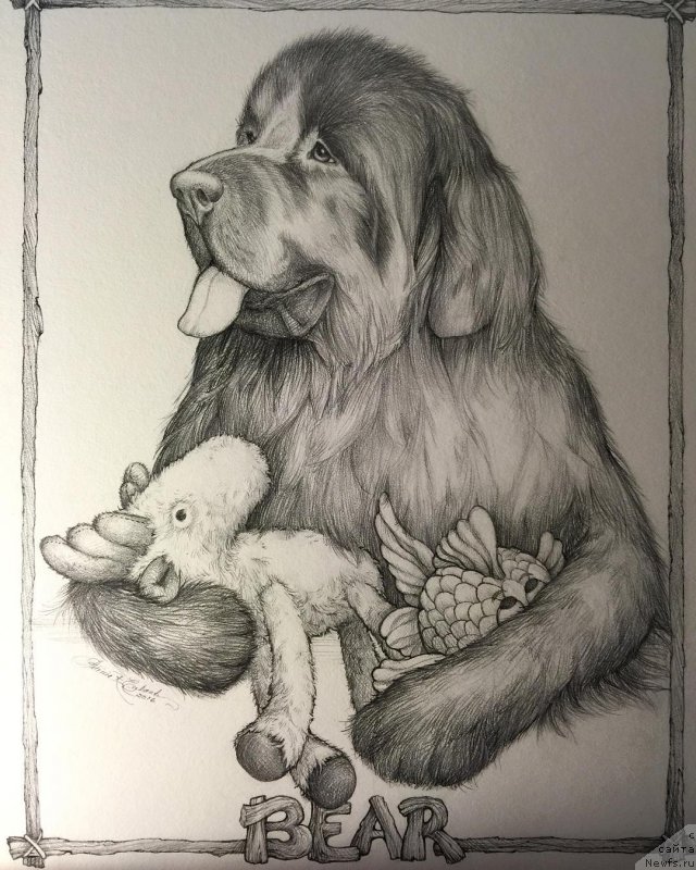 Фотография № 212808