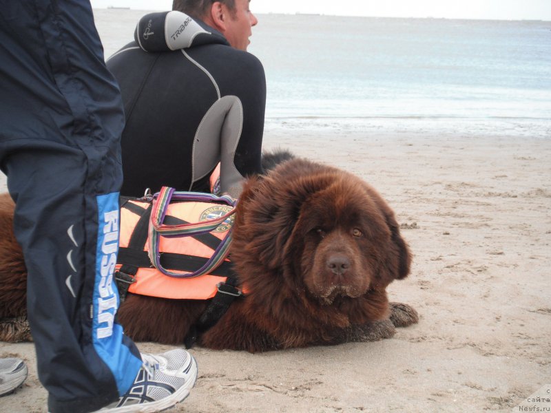 Фотография № 212815