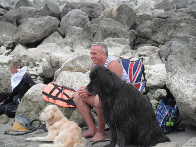 Фотография № 212821