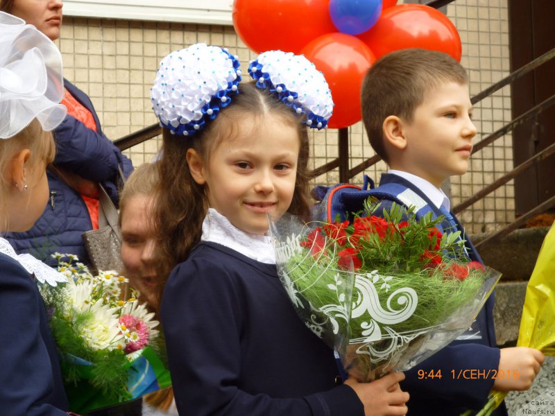 Фотография № 212851