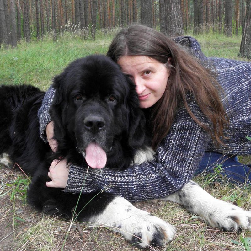 Фото: Alla Tuzkova (Алла Тузкова), ньюфаундленд Starbimovlav Gardemarin (Старбимовлав Гардемарин)