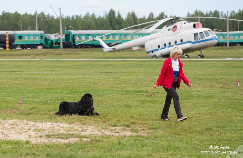 Фото: Larisa Kutina (Лариса Кутина), ньюфаундленд Belkonder-Club Ugli-Boogli (Белкондер-Клаб Угли-Бугли)