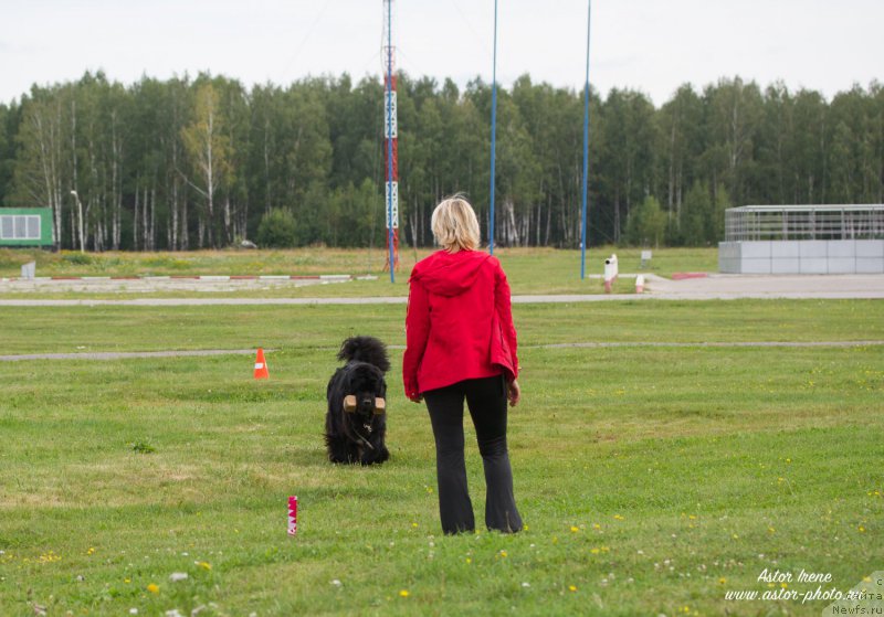 Фото: Larisa Kutina (Лариса Кутина), ньюфаундленд Belkonder-Club Ugli-Boogli (Белкондер-Клаб Угли-Бугли)