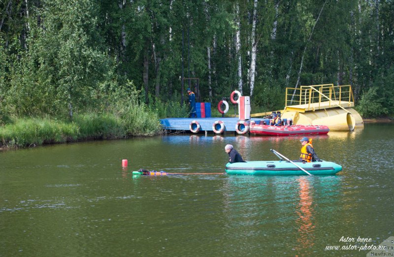 Фото: ньюфаундленд Angel Khranitel Gruffidd (Ангел Хранитель Граффидд)