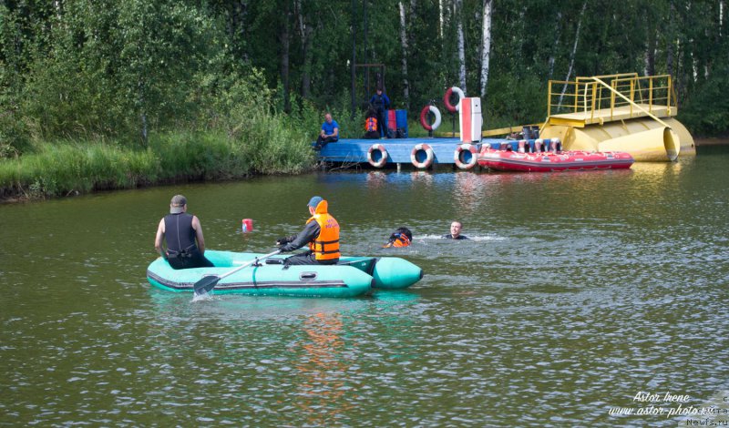 Фото: ньюфаундленд Ermak s Berega Dona (Ермак с Берега Дона)