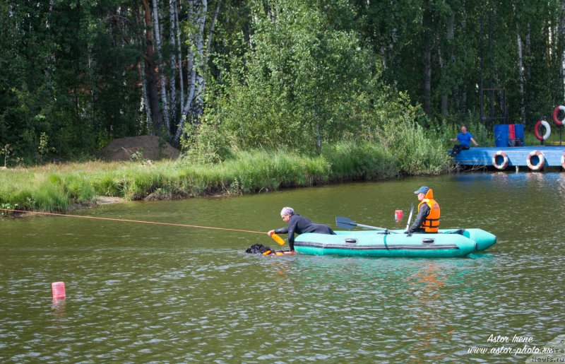 Фото: ньюфаундленд Ermak s Berega Dona (Ермак с Берега Дона)