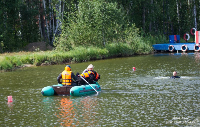 Фото: ньюфаундленд Belkonder-Club Ugli-Boogli (Белкондер-Клаб Угли-Бугли)