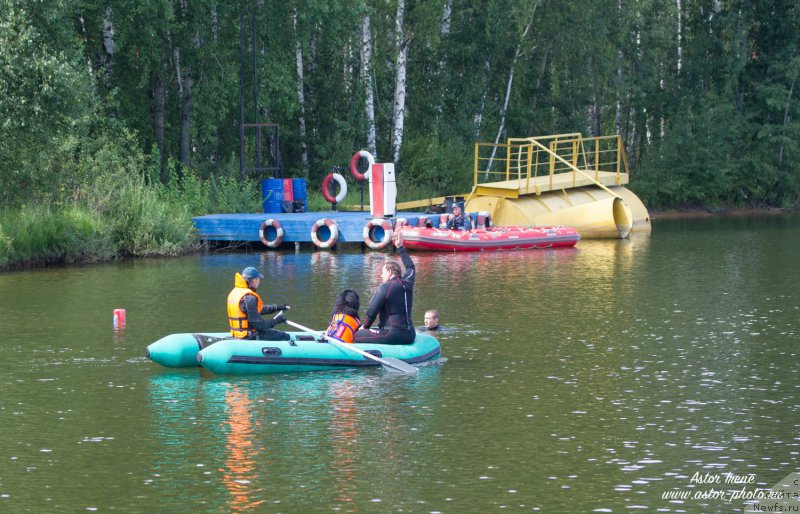 Фото: ньюфаундленд Sent Djons Larel Leolanda (Сент Джонс Ларель Леоланда)