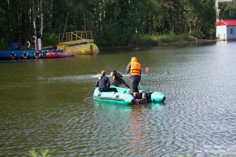 Фото: ньюфаундленд Toptyzhka Galatea Morskaya Nereida (Топтыжка Галатея Морская Нереида), Antonina CHigvinceva (Антонина Чигвинцева)