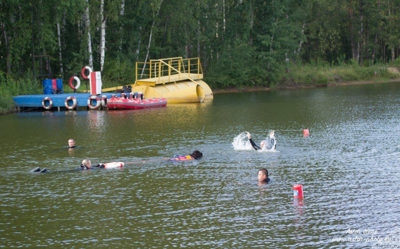 Фото: ньюфаундленд Beguschaya po Volnam Foget Mi Not (Бегущая по Волнам Фогет Ми Нот)