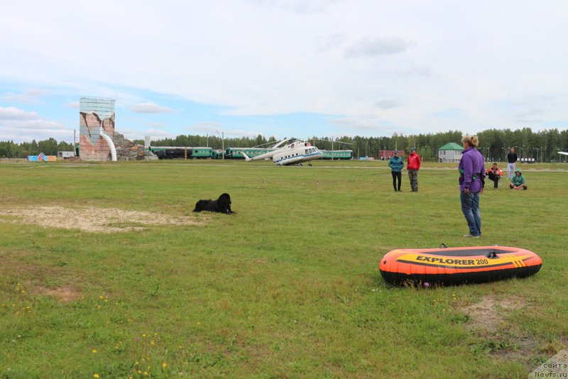 Фотография № 212900