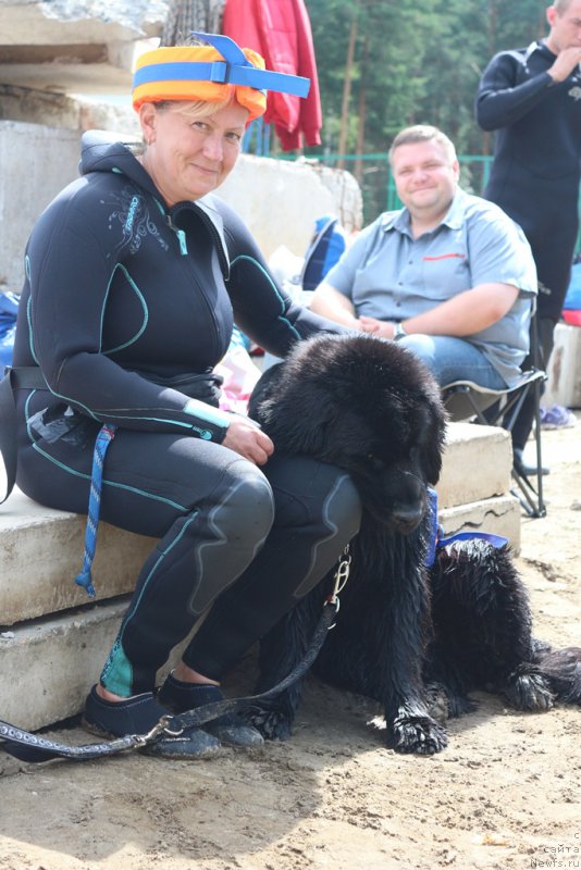 Фото: Antonina CHigvinceva (Антонина Чигвинцева), ньюфаундленд Toptyzhka Geroy Nashego Vremeni (Топтыжка Герой Нашего Времени)