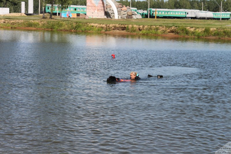 Фото: Antonina CHigvinceva (Антонина Чигвинцева), ньюфаундленд Toptyzhka Geroy Nashego Vremeni (Топтыжка Герой Нашего Времени)