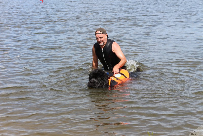 Фотография № 212953