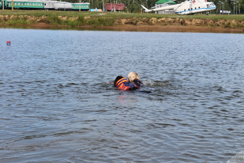 Фото: Larisa Kutina (Лариса Кутина), ньюфаундленд Belkonder-Club Ugli-Boogli (Белкондер-Клаб Угли-Бугли)
