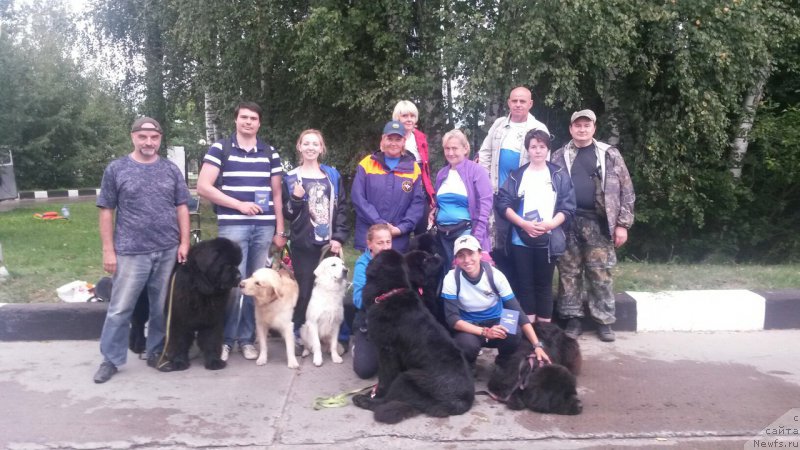 Фото: ньюфаундленд Ermak s Berega Dona (Ермак с Берега Дона), Larisa Kutina (Лариса Кутина), ньюфаундленд Belkonder-Club Ugli-Boogli (Белкондер-Клаб Угли-Бугли), Antonina CHigvinceva (Антонина Чигвинцева), ньюфаундленд Toptyzhka Geroy Nashego Vremeni (Топтыжка Герой Нашего Времени), ньюфаундленд Toptyzhka Galatea Morskaya Nereida (Топтыжка Галатея Морская Нереида), Aleksandra Fetisova (Александра Фетисова), ньюфаундленд Beguschaya po Volnam Foget Mi Not (Бегущая по Волнам Фогет Ми Нот), Aleksandr Burmistrov (Александр Бурмистров), Elena Bogdanova (Елена Богданова), Леонид