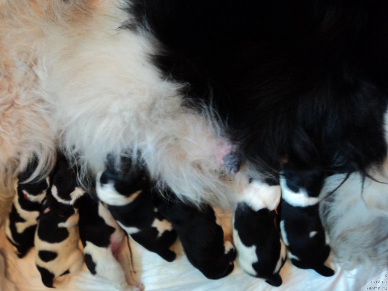 Фотография № 212966