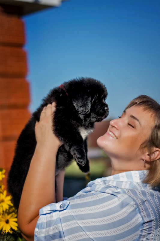 Фото: Elizaveta Pavlova (Елизавета Павлова)