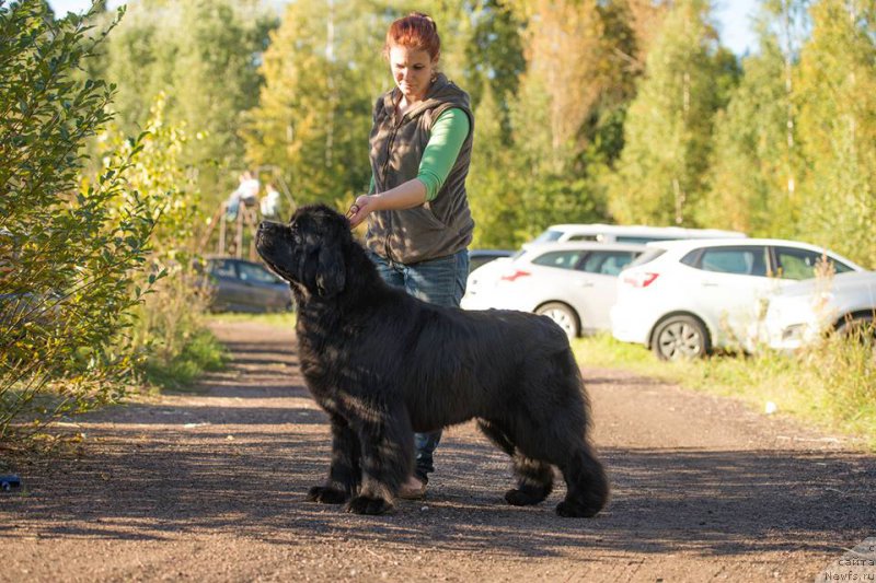 Фотография № 212998