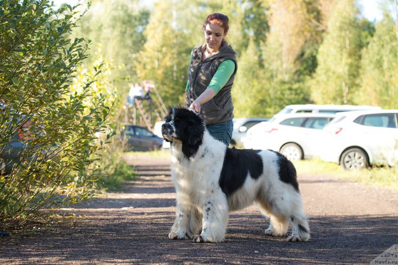 Фотография № 212999