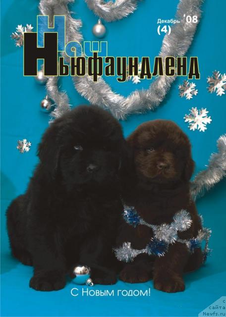 Фотография № 21300