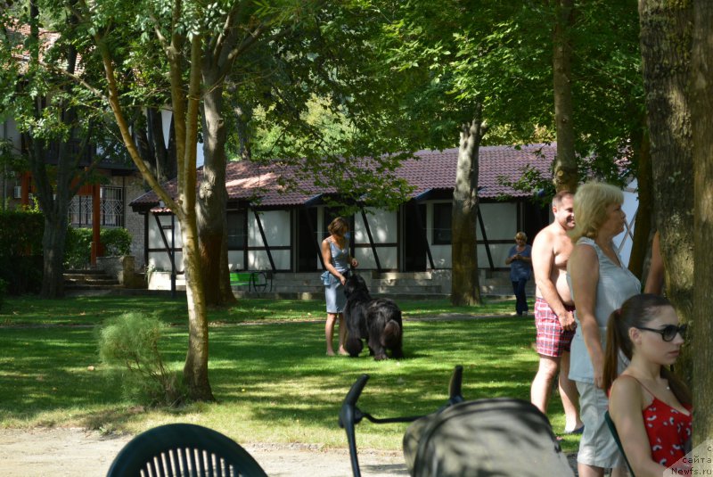 Фотография № 213007