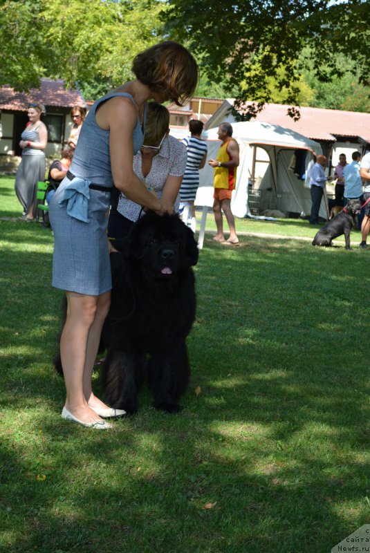 Фотография № 213008