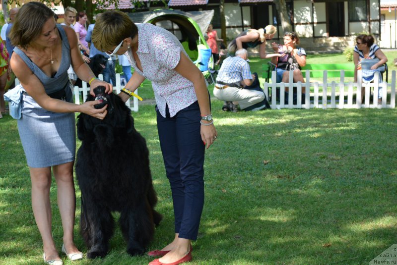 Фотография № 213009