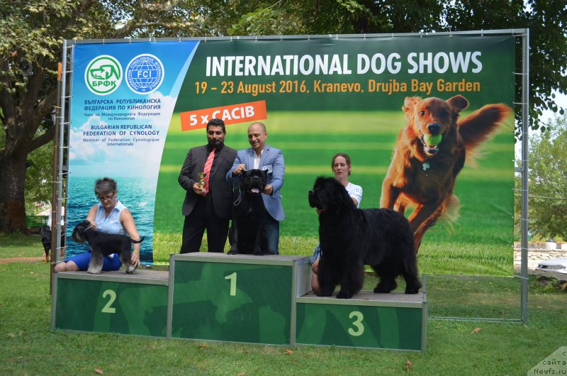 Фотография № 213010