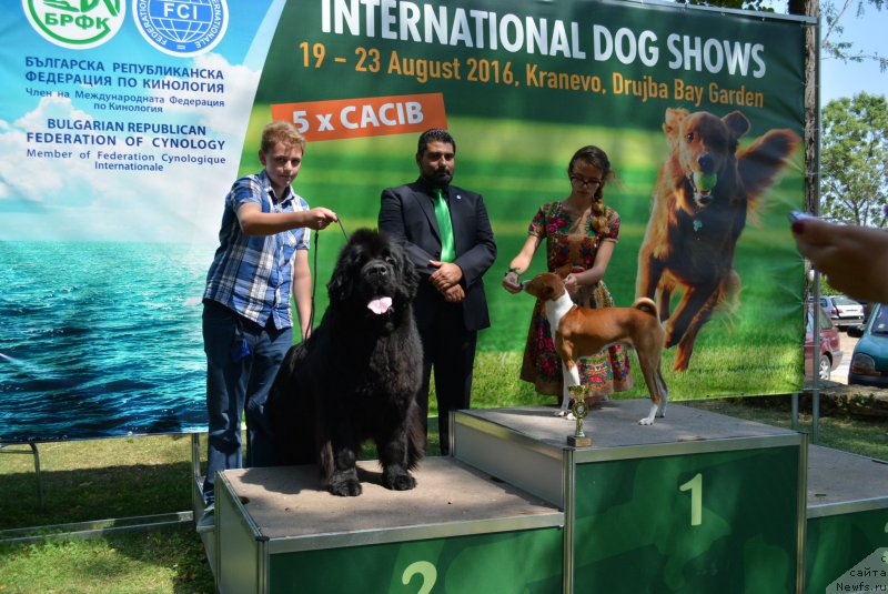 Фото: ньюфаундленд Rain Coast Icebreaker Volotovo