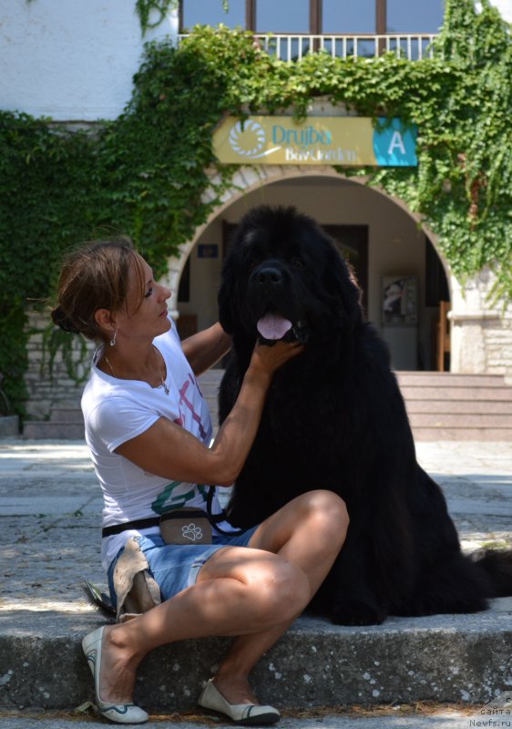 Фотография № 213015