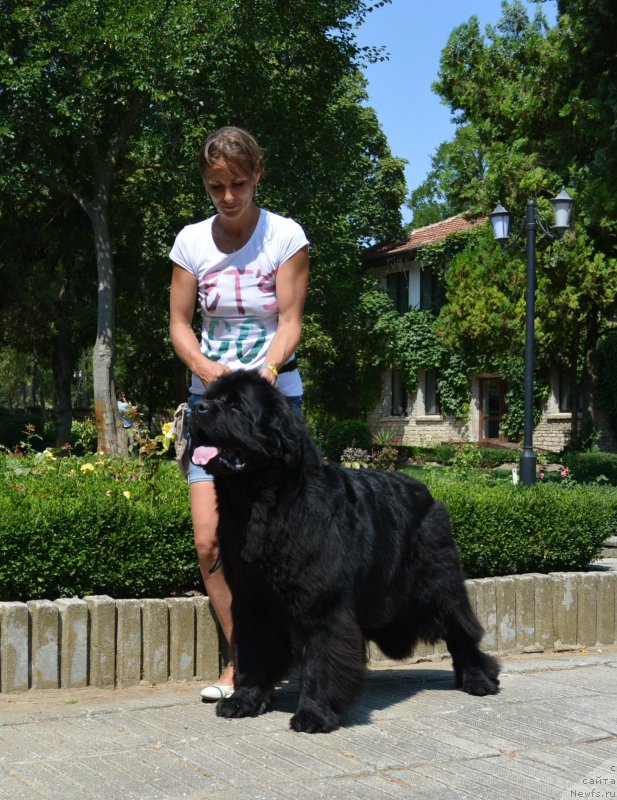 Фотография № 213018