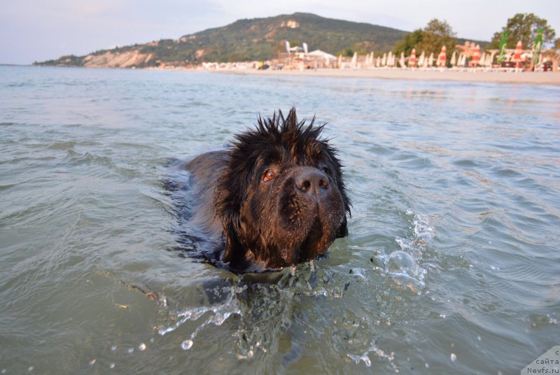 Фотография № 213021