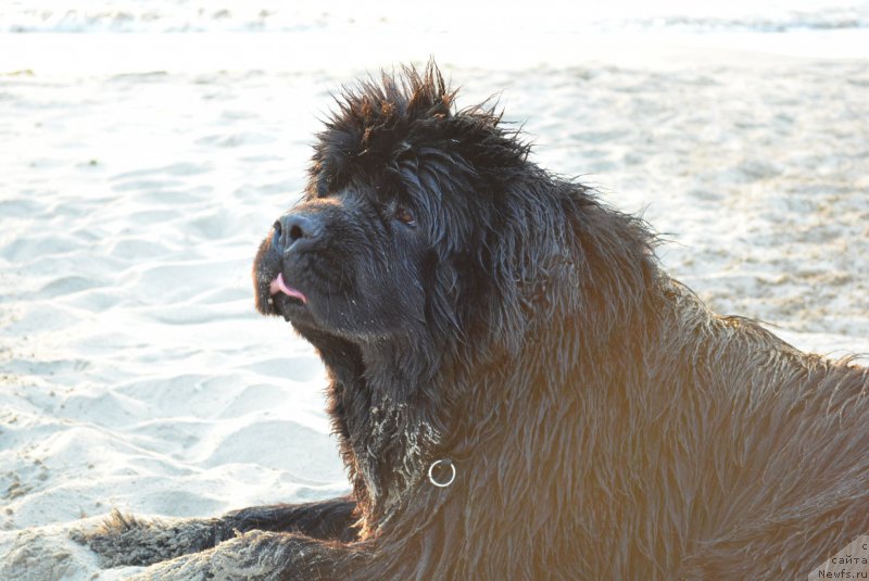 Фотография № 213022