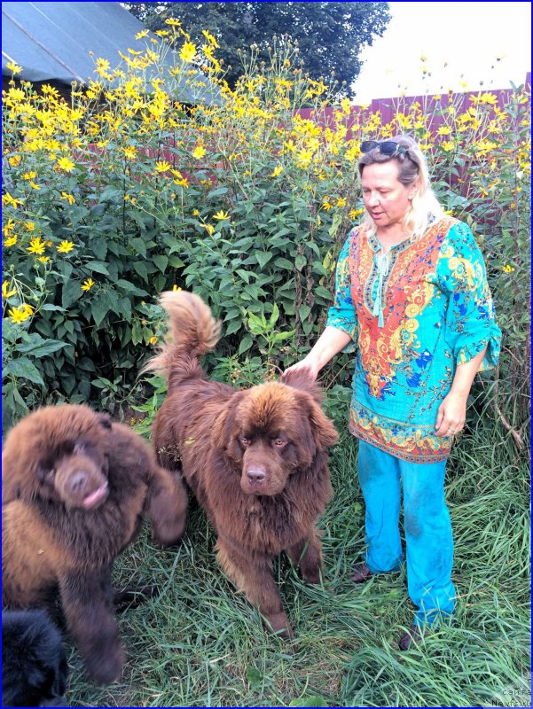 Фотография № 213037