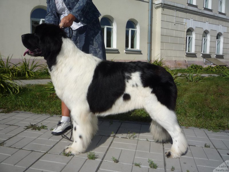 Фотография № 213051