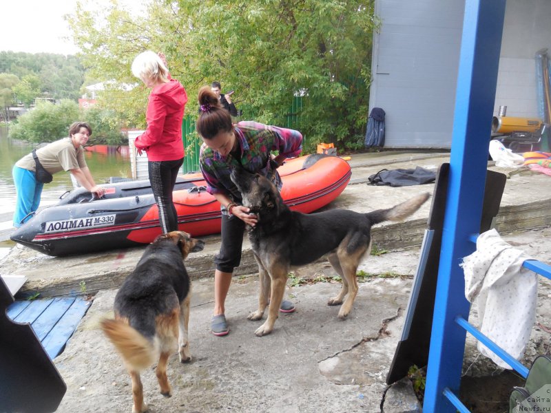 Фотография № 213059