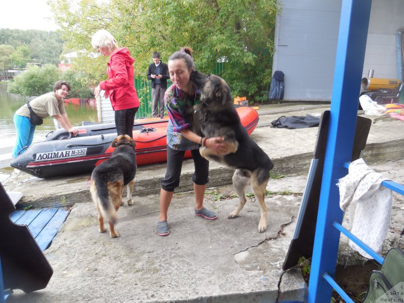 Фото: Aleksandra Fetisova (Александра Фетисова), Elena Bogdanova (Елена Богданова), Larisa Kutina (Лариса Кутина)