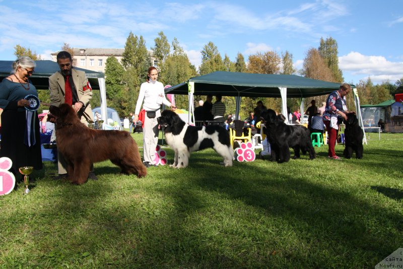 Фотография № 213065