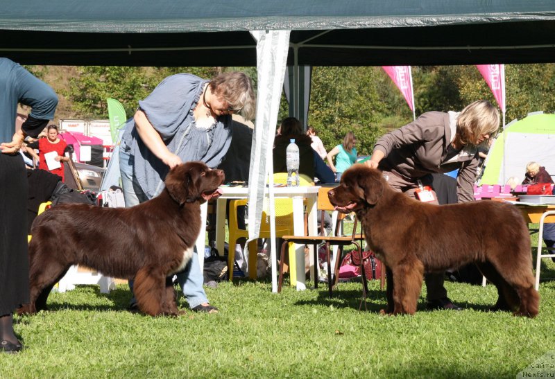 Фотография № 213066