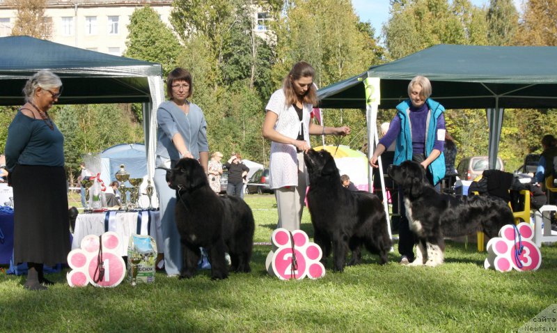 Фотография № 213068