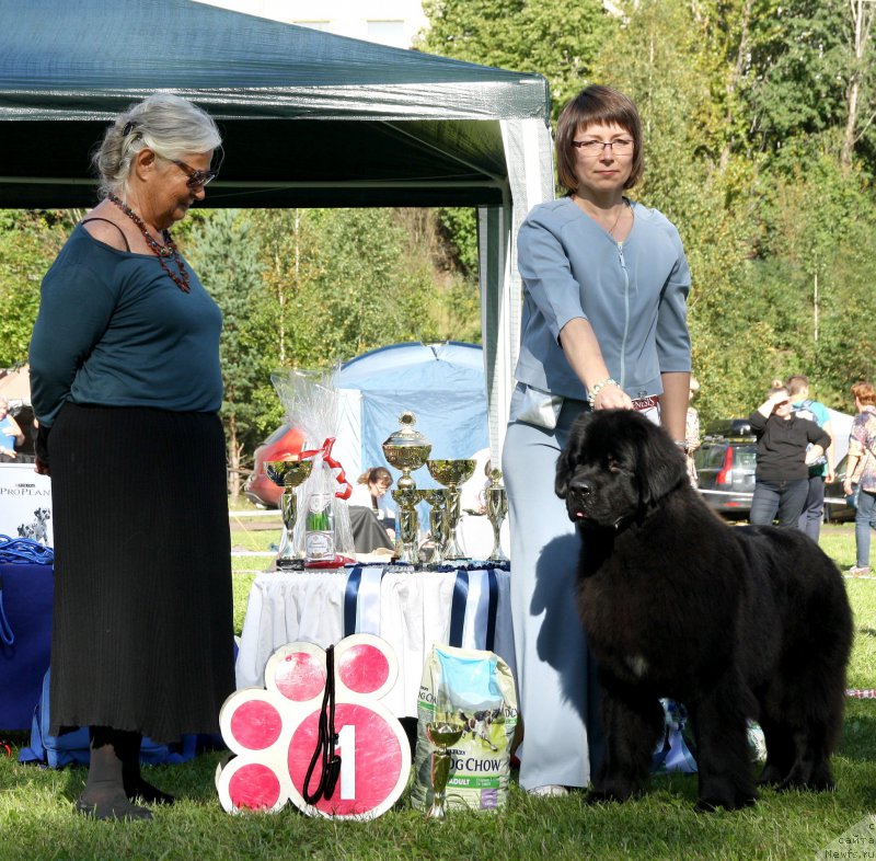 Фотография № 213075