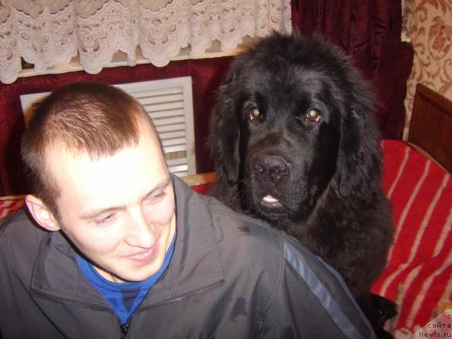 Фото: Oleg Laptev (Олег Лаптев)