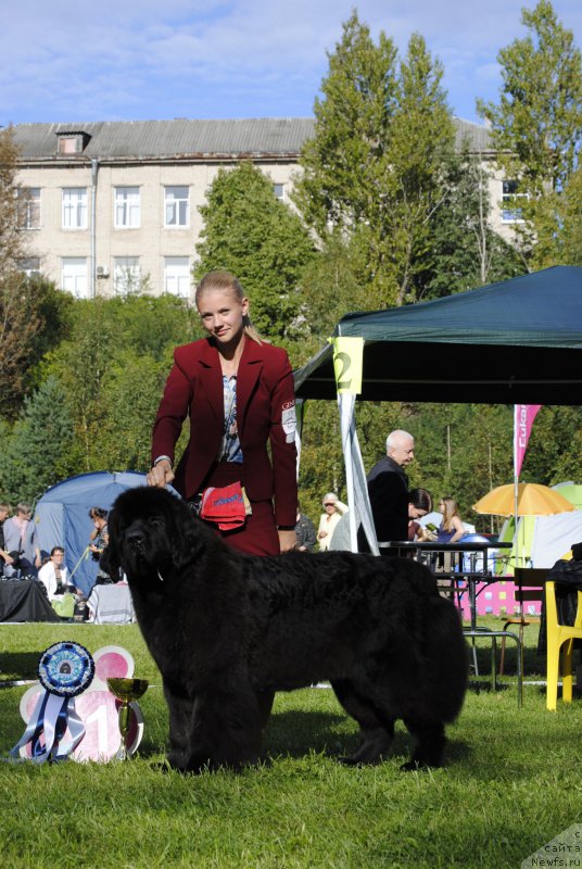 Фотография № 213100