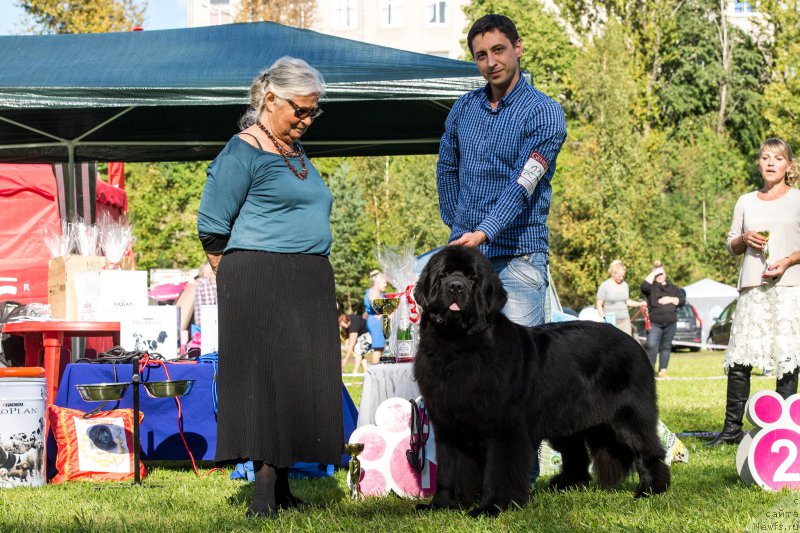 Фотография № 213114