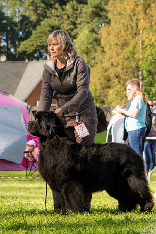 Фотография № 213117