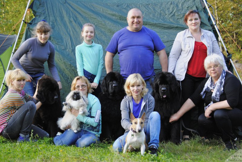 Фотография № 213129